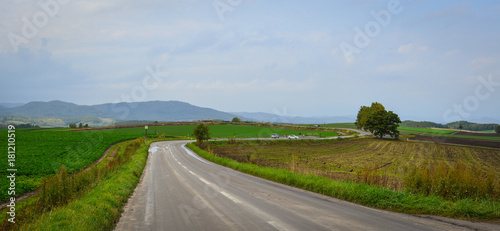 Fotografie Rural road in Biei, Hokkaido, Japan