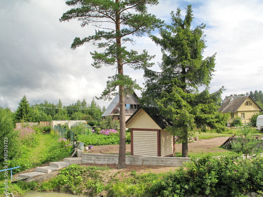 small children's house among pines and fir-trees small children's house among pines and fir-trees