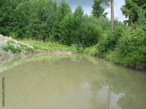 pond in the country amid the forest