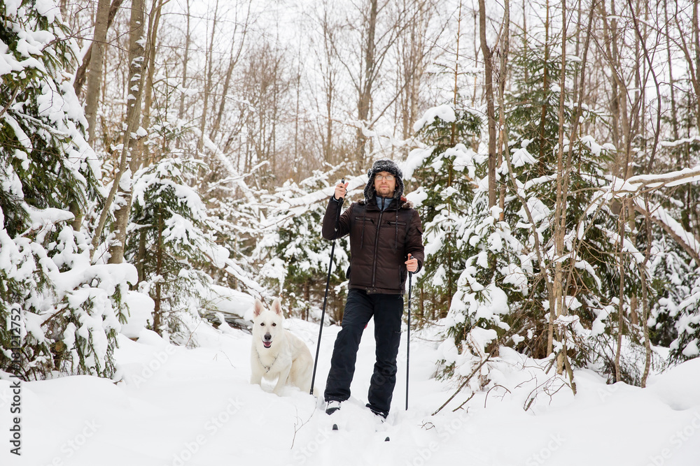 Young man cross-country skiing in the forest with White Swiss shepherd dog