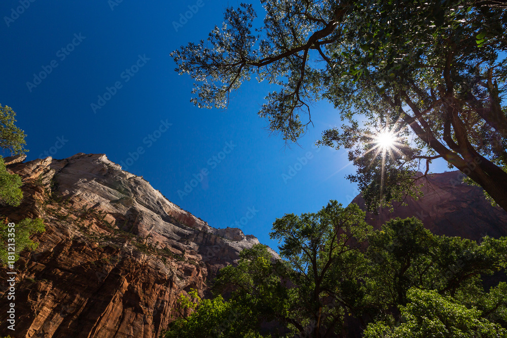 Bright autumn scenery in Zion National Park, Utah