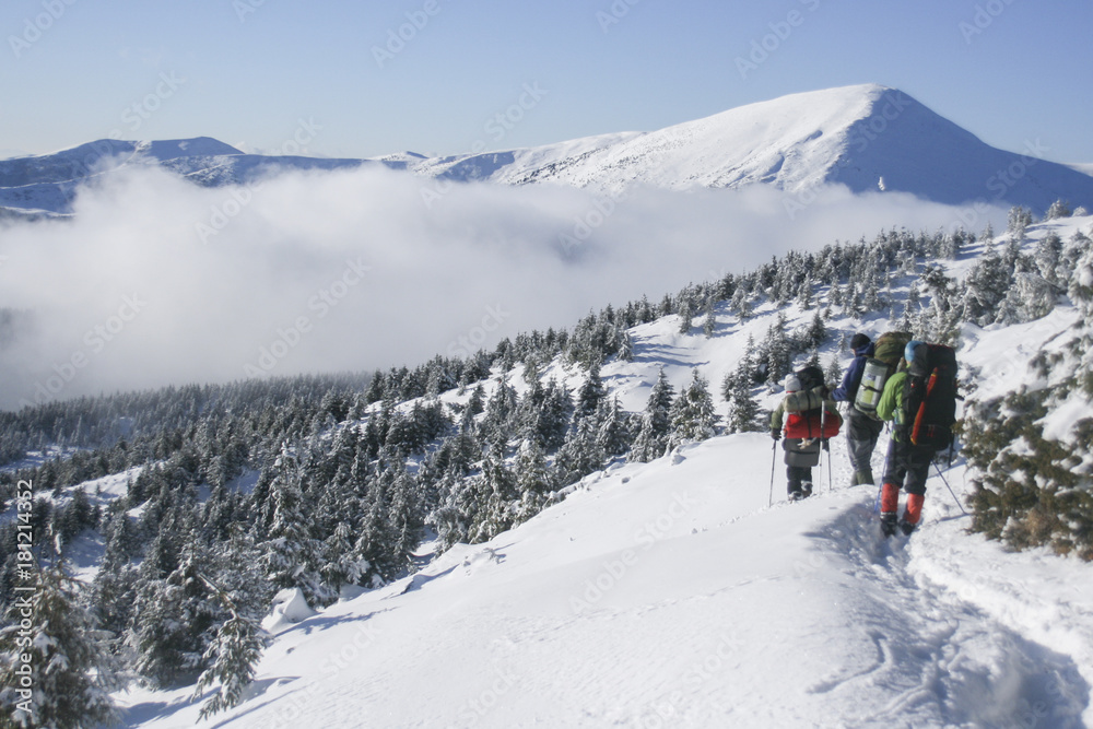 winter hiking in the mountains. tourism in the winter mountains