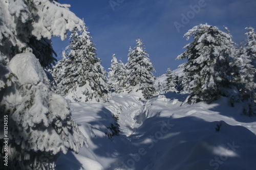 charming winter mountains. winter mountains in the sun's rays