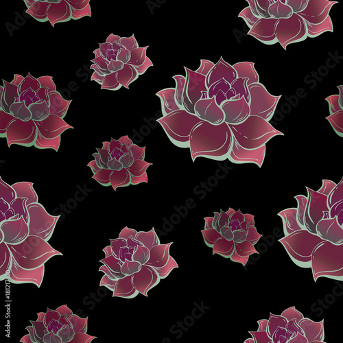 Elegant hand-drawn seamless pattern with echeveria flower also known as mexican stone rose. Succulent decorative ornement. 