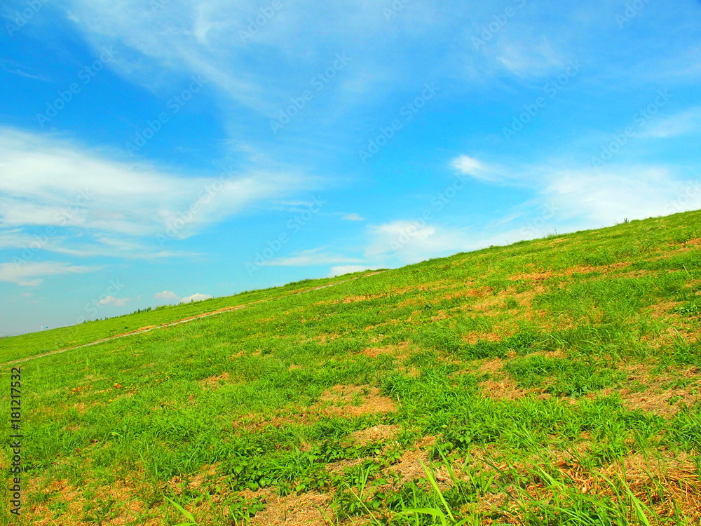 Fototapeta premium 秋の土手風景