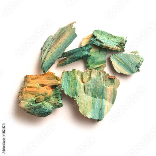 xylindein, green-oak photo