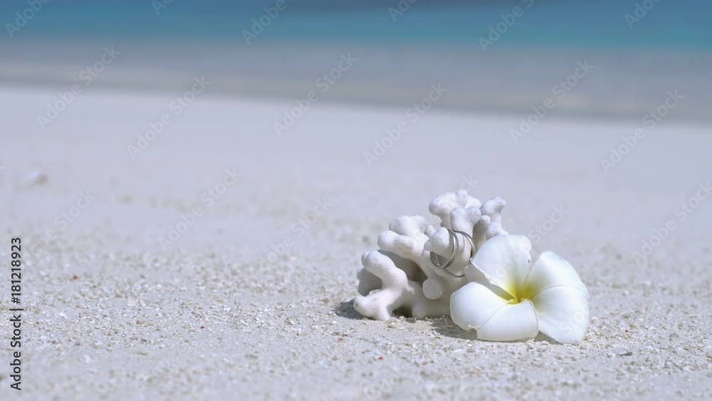 Marriage rings on coral decorated white plumeria flower on sandy beach close to turquoise sea. Tropical wedding travel card Marriage rings on coral decorated white plumeria flower on sandy beach close to turquoise sea. Tropical wedding travel card