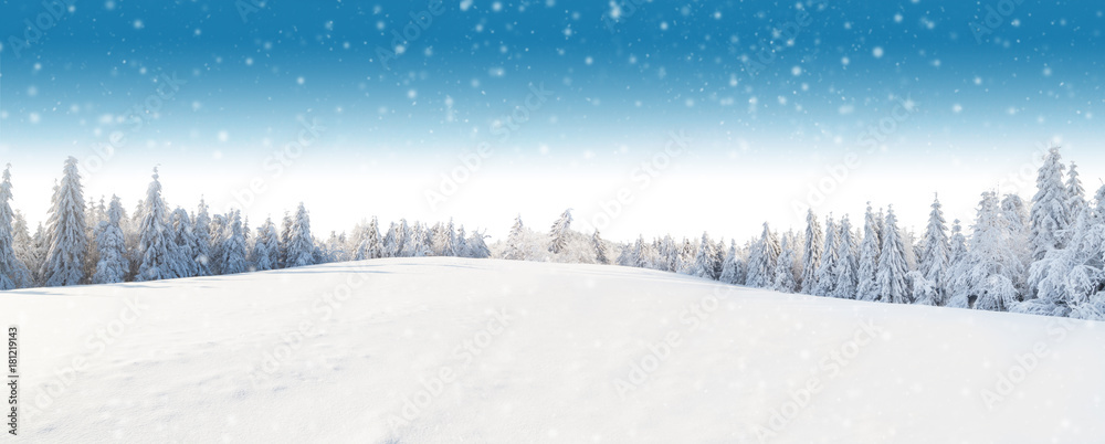 Fototapeta Zima panoramiczny krajobraz z lasem na tle