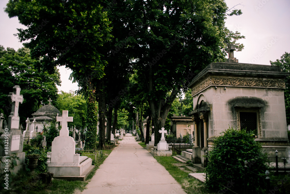 Crypt in an old cemetery