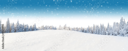Winter panoramic landscape with forest on background
