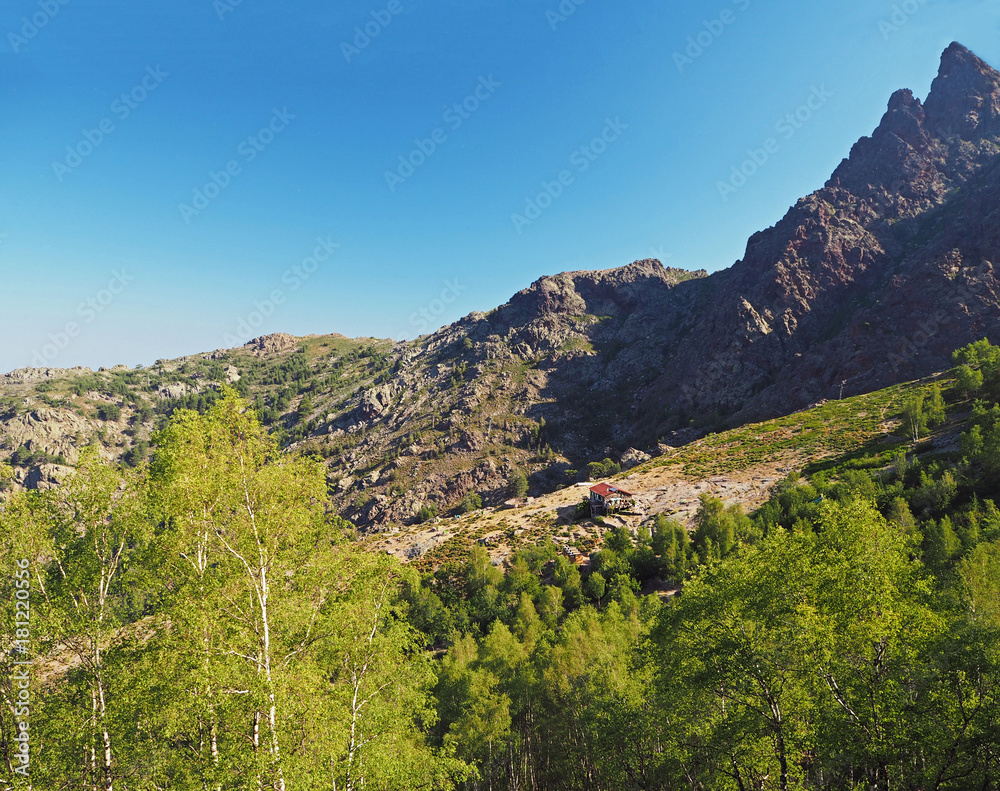 France, Corse, Haut Corse, June 13, 2017: View on refuge Ortu di Piobbu first part of GR 20 famous trek with green birche tree sharp mountain peak and blue sky France, Corse, Haut Corse, June 13, 2017: View on refuge Ortu di Piobbu first part of GR 20 famous trek with green birche tree sharp mountain peak and blue sky