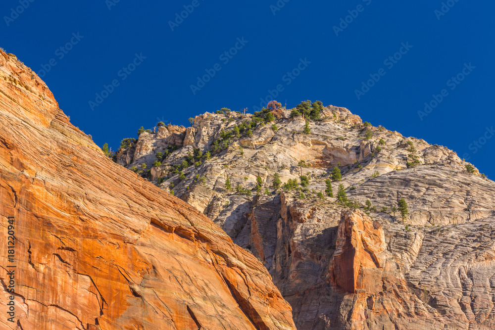Bright scenery in Zion National Park, Utah, with red rock formations and clear blue sky