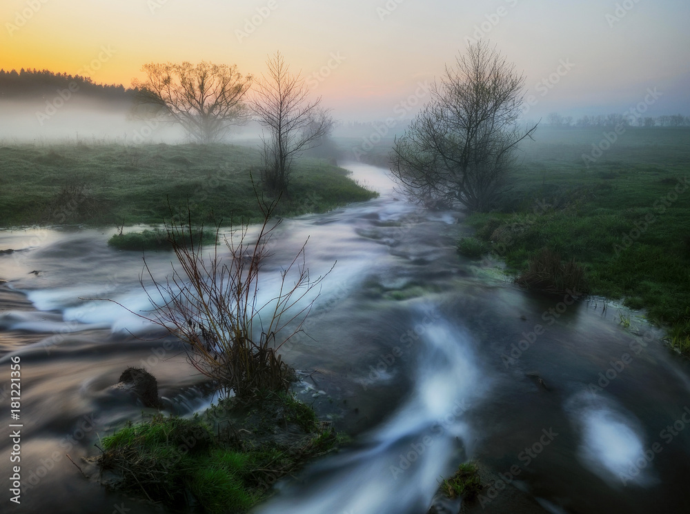 Fototapeta premium spring morning. a picturesque river. foggy dawn