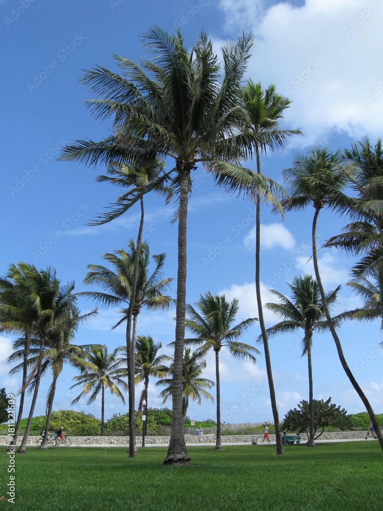 Detail of landmarks of Miami Beach, Florida