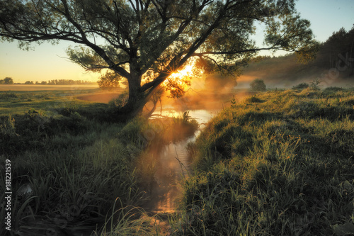 spring morning. a picturesque river. foggy dawn