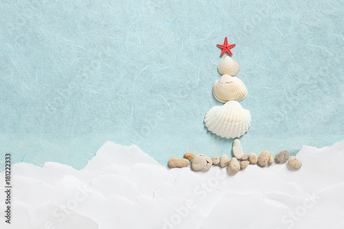 starfish and seashells in the shape of Christmas tree