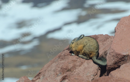 Chile, San Pedro de Atacama photo