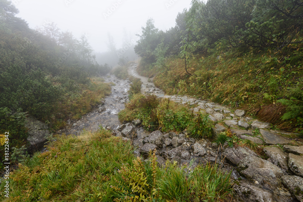 Fototapeta premium mountain tourist trail in autumn covered in mist