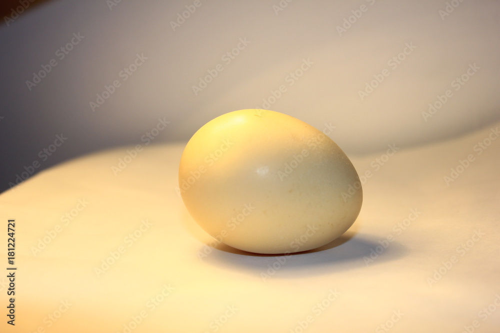 egg tree egg tree