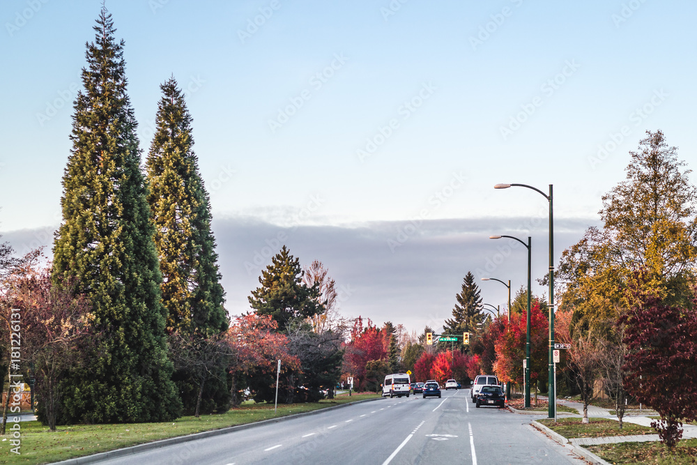 Fototapeta premium Queen Elizabeth Park and Surroundings in Vancouver, BC, Canada