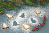 Christmas decoration - gingerbread cookies with fir branches