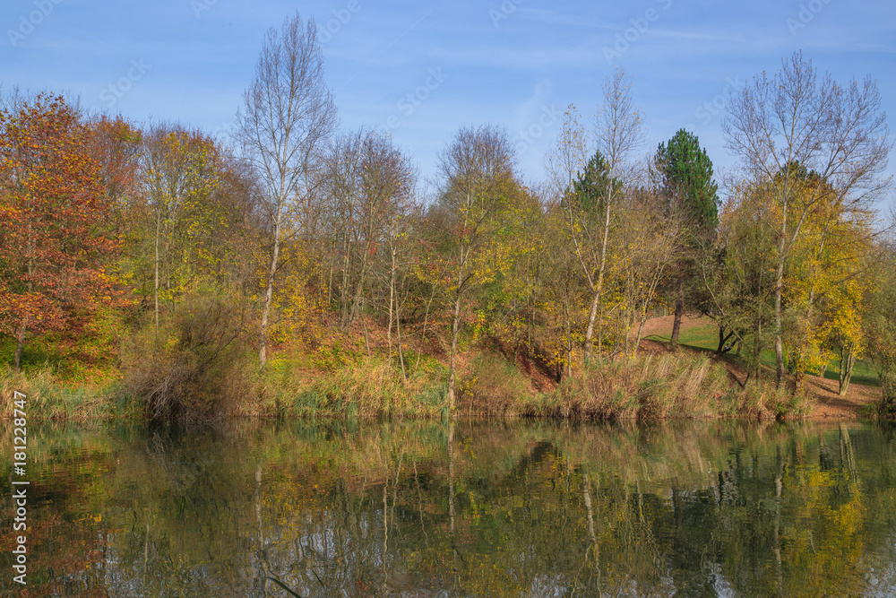 Fototapeta premium Paysage d'automne