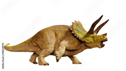 Triceratops horridus dinosaur (3d render isolated on white background) © dottedyeti