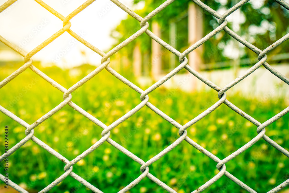 The fence mesh netting on blurred yellow flower field as the background with flare light The fence mesh netting on blurred yellow flower field as the background with flare light