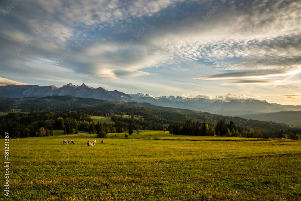 View on the Tatra mountains from Lapszanka, Poland
