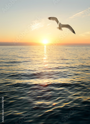 Wonderful sunset scene