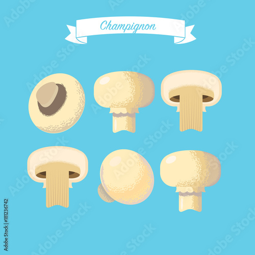 Set of champignons on a blue background