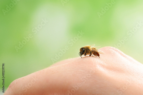 Woman holding honeybee on blurred background