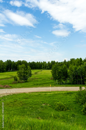 Field in June