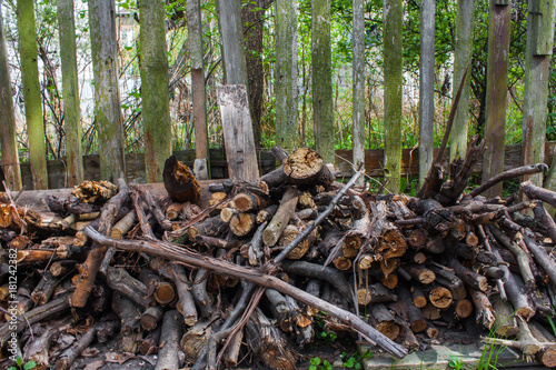 Woodpile of chopped lumber. Pile of wood logs. Stacked firewood timber