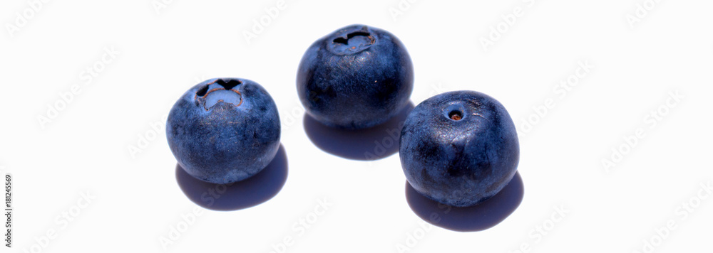 Blueberry. Close-up view of fresh Blueberries isolated on white background. Blueberry. Close-up view of fresh Blueberries isolated on white background.