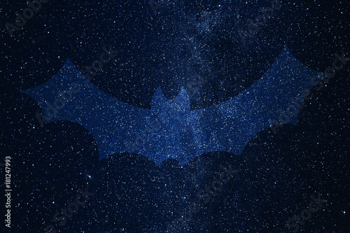 Bat silhouette on background of Universe. Space sky in the night.
