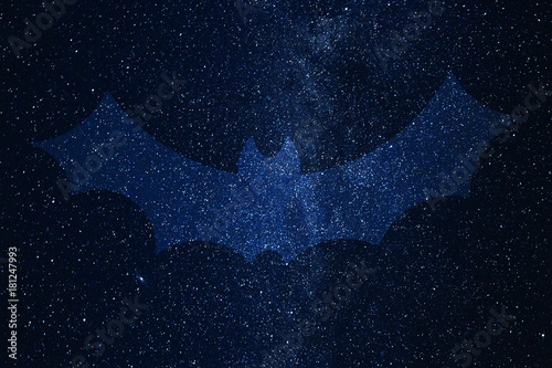 Bat silhouette on background of Universe. Space sky in the night. photo