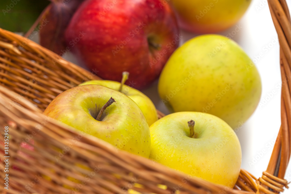 apples in a wicker basket on a white background. apples in a wicker basket on a white background.