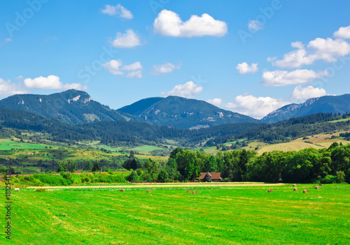 Summer beautiful rural landscape, Slovakia photo
