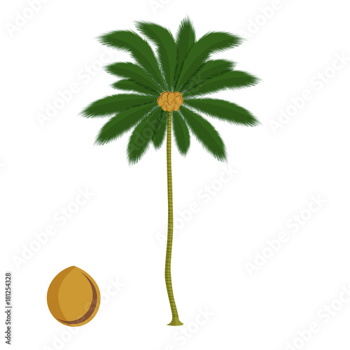 Árbol como recurso gráfico