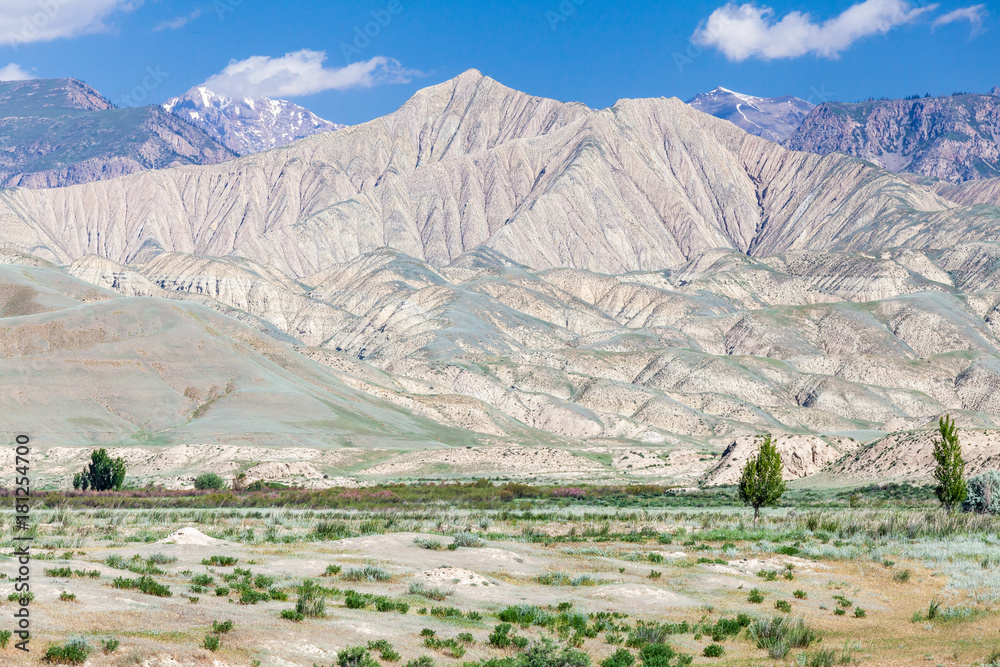Fototapeta premium Mountains in Kyrgyzstan district of Naryn