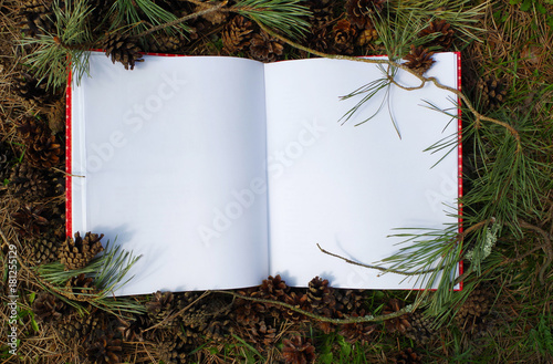 Mockup concept with pine branches and cones. The blank white sketchbook on the rustic background with natural decorations.