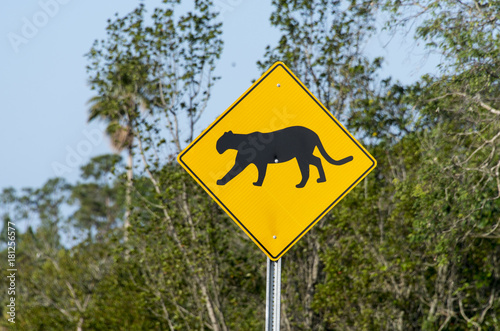 Panneau routier, Puma de Floride, Panthère de Floride, Puma concolor coryi, Floride, Etats Unis