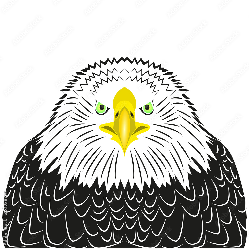 Obraz premium Vector eagle image for retro logos, emblems, badges, labels template vintage design element. Isolated on white background