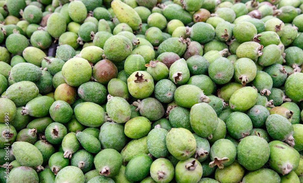 feyhua feijoa on the counter market feyhua feijoa on the counter market