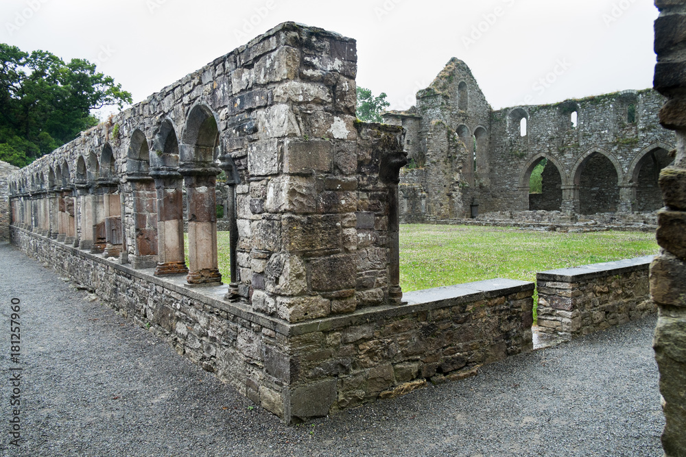 Travel in Ireland. Jerpoint Cistercian Abbey