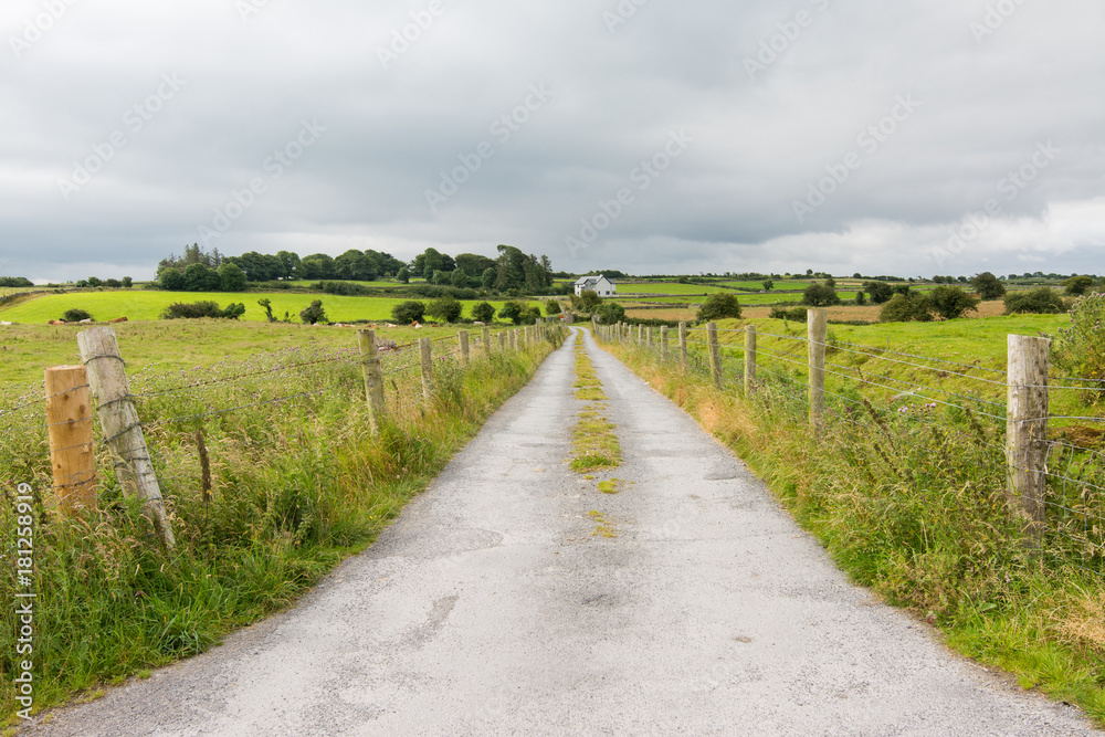Landscapes of Ireland.Street country road near Ruins of Friary of Ross in Galway county Landscapes of Ireland.Street country road near Ruins of Friary of Ross in Galway county