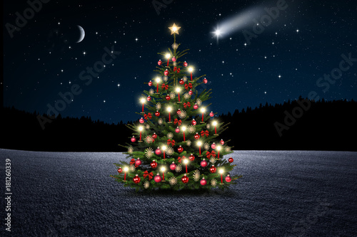 Weihnachtsbaum im Wald bei Nacht