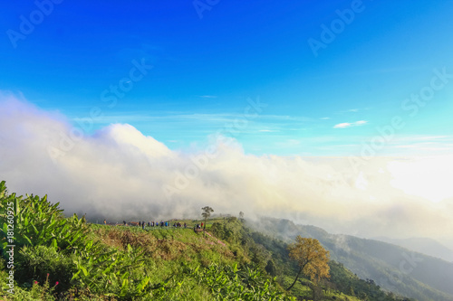 fog and cloud mountain valley sunrise landscape at Phu Thap Boek, Phetchabun Province, Thailand.