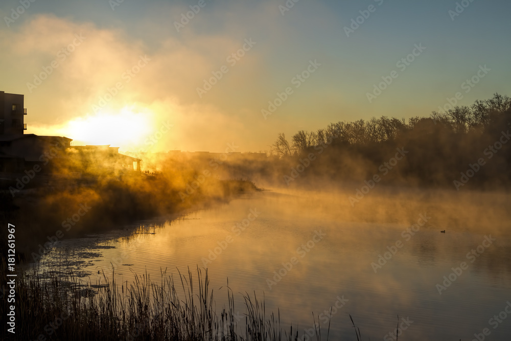 Fototapeta premium IMG_8206.jpg